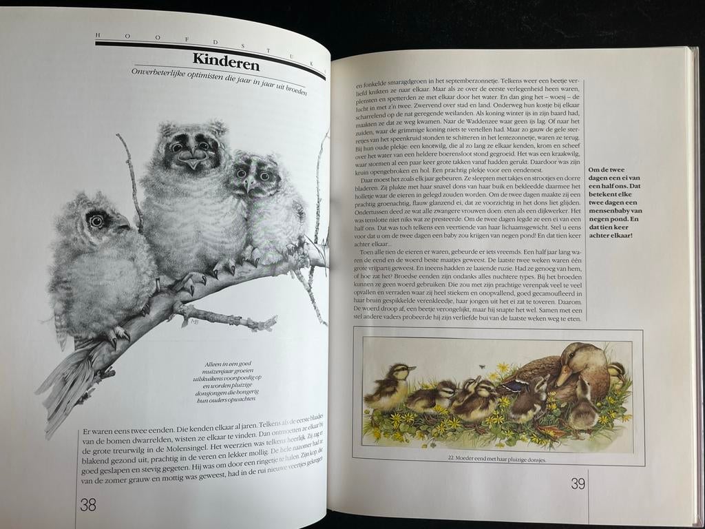 Marjolein Bastin Vogelalbum compleet + alle verzamelplaatjes, Ophalen of Verzenden, Zo goed als nieuw, Vogels