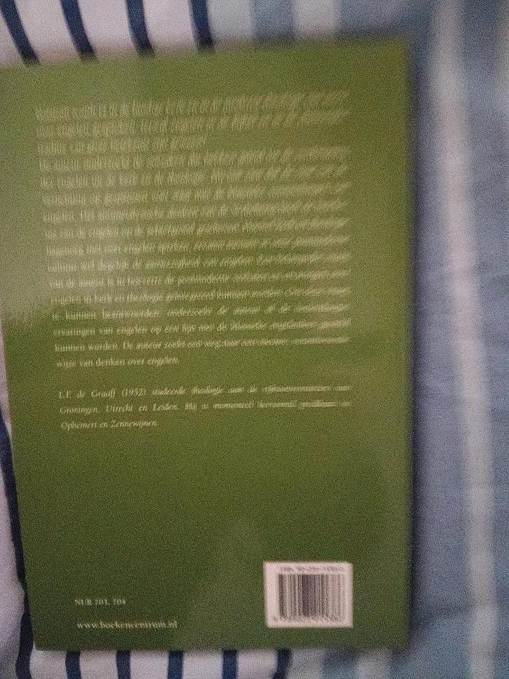 De verdwijning der engelen uit kerk en theologie, Boeken, Godsdienst en Theologie, Gelezen, Christendom | Katholiek, Christendom | Protestants