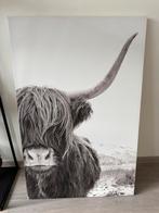 Canvas Schotse Hooglander Zwart-Wit, Ophalen, Gebruikt, Print, 75 cm of meer