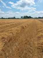 Stro, Dieren en Toebehoren, Ophalen, Vee