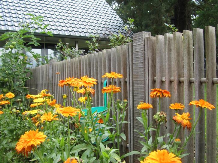 Houten hekjes hekwerk hekken van hardhout tuinafscheiding, Tuin en Terras, Tuinhekken en Hekwerk, Zo goed als nieuw, Tuinhek, Hout