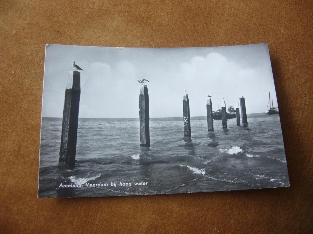AMELAND  =  VEERDAM BIJ HOOG WATER, Ophalen of Verzenden, 1940 tot 1960, Gelopen, Waddeneilanden