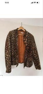 Prachtig fluwelen jasje/colbert van Witteveen, maat 44, Kleding | Dames, Overige kleuren, Maat 42/44 (L), Ophalen of Verzenden