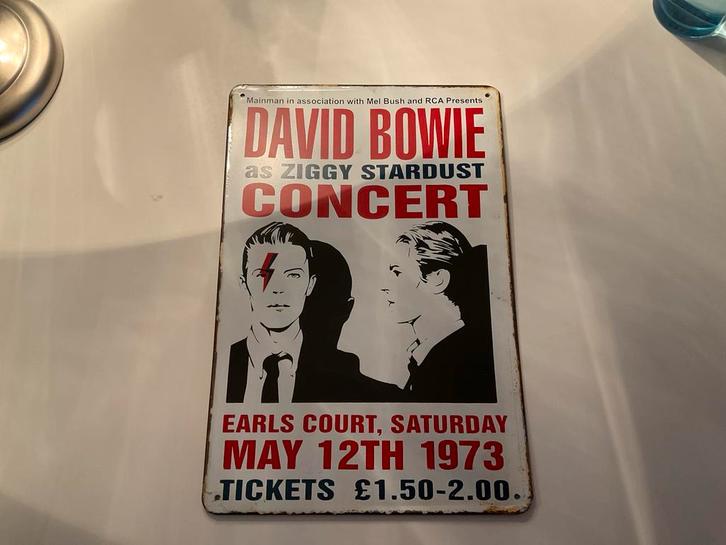 David Bowie Metalen Bord - 20x30 cm, Huis en Inrichting, Woonaccessoires | Wanddecoraties, Zo goed als nieuw, Ophalen of Verzenden