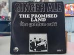 7" Single Ginger Ale - The Promised Land / The Golden Calf, Gebruikt, 7 inch, Single, Ophalen of Verzenden