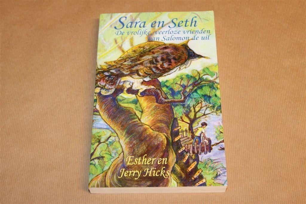 Sara en Seth — Esther & Jerry Hicks, Wijze Levenslessen, Boeken, Ophalen of Verzenden, Gelezen, Overige onderwerpen, Achtergrond en Informatie