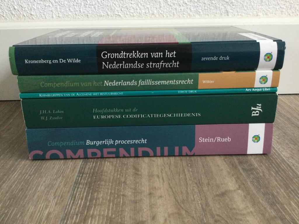 Compendium Burgerlijk procesrecht, Ophalen of Verzenden, Nieuw
