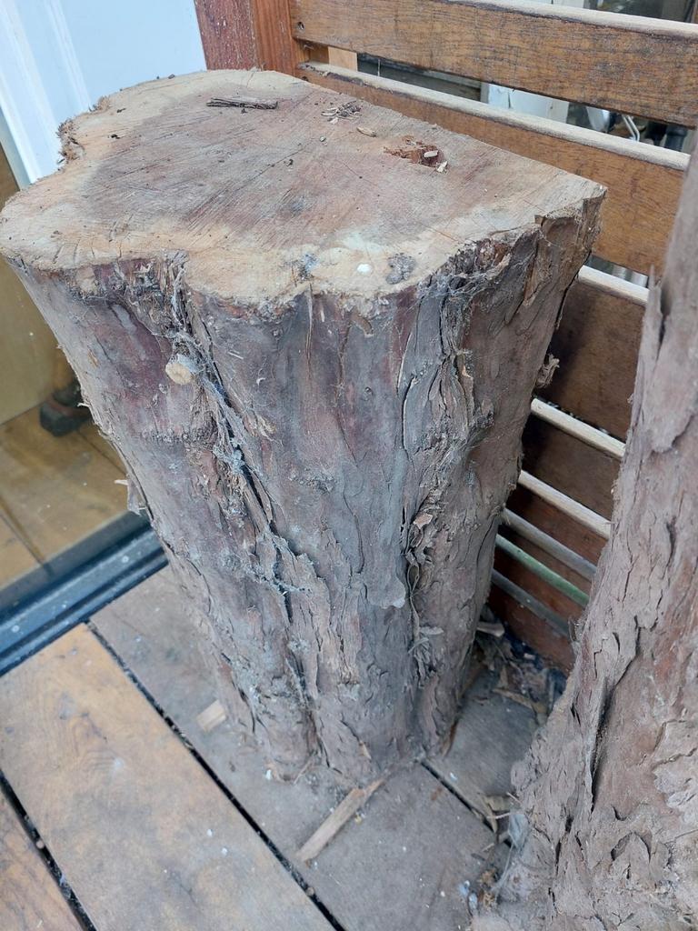 Prachtig stuk Taxushout, Ophalen