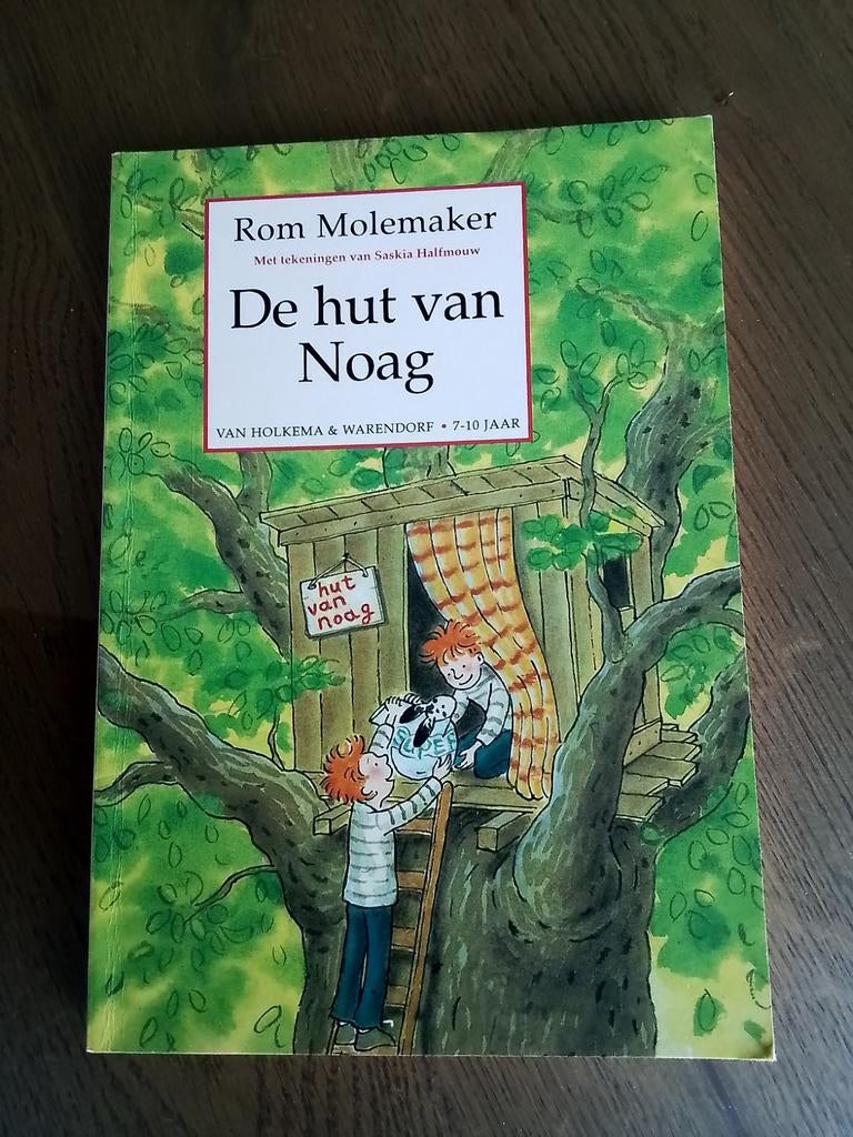 Rom Molemaker - De hut van Noag, Boeken, Fictie algemeen, Ophalen of Verzenden, Zo goed als nieuw, Rom Molemaker