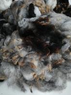 Gewassen schapenwol 250 gram, Ophalen of Verzenden, Nieuw, Spinwol