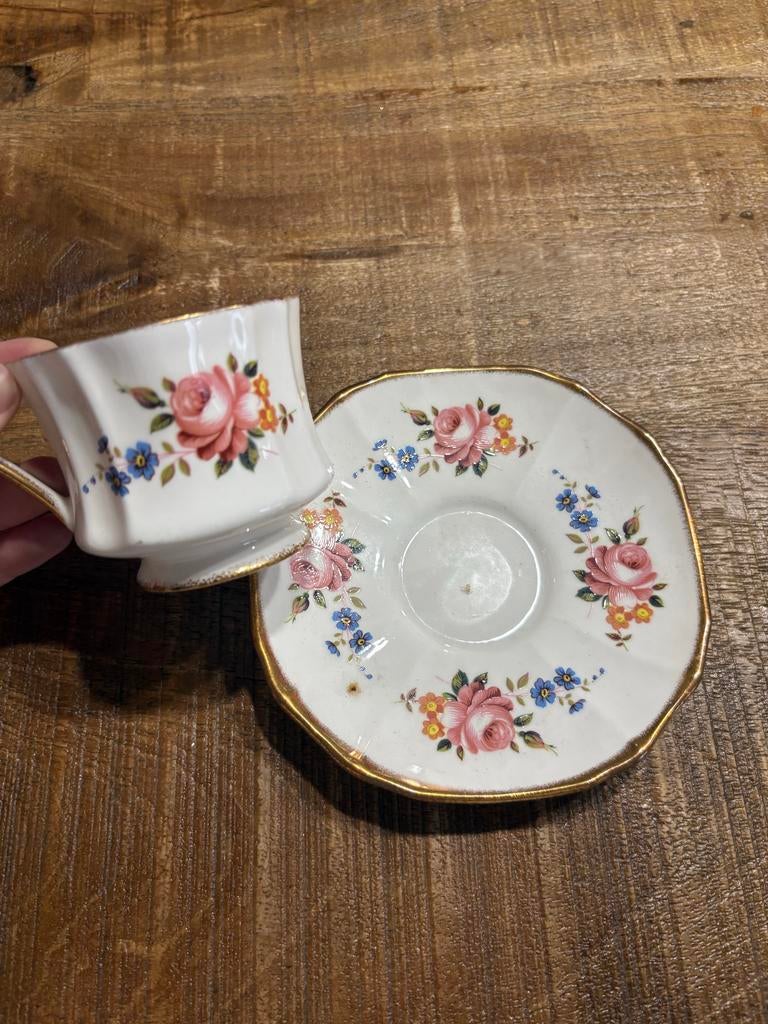 Royal Priory Dale Countess Kop en Schotel, Ophalen of Verzenden