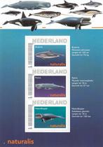 Nederland- 2010- Persoonlijke- Blok Naturalis- Oceanen- P, Verzenden, Na 1940, Postfris