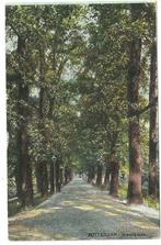 AK Rotterdam - Kievitslaan, Verzenden, Voor 1920, Gelopen, Zuid-Holland