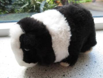 Cavia zwart wit velours met bruine kunststof ogen merk PIA beschikbaar voor biedingen