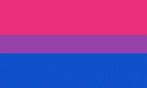LGBT Pride vlaggen - Verschillende LGBT motieven | Sale, Verzenden, Nieuw