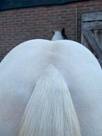 Paarden & Pony’s scheren, Diensten en Vakmensen, Dieren | Paarden | Verzorging, Oppas en Les