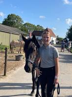 Verzorger aangeboden/verzorgpony gezocht!!, Dieren en Toebehoren, Ophalen of Verzenden, Zo goed als nieuw