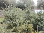 Kerstbomen, Ophalen
