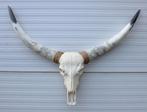 Grote schedel TEXAS STYLE LONGHORN 120 cm - ref. H, Ophalen, Nieuw, Boerderijdier, Schedel