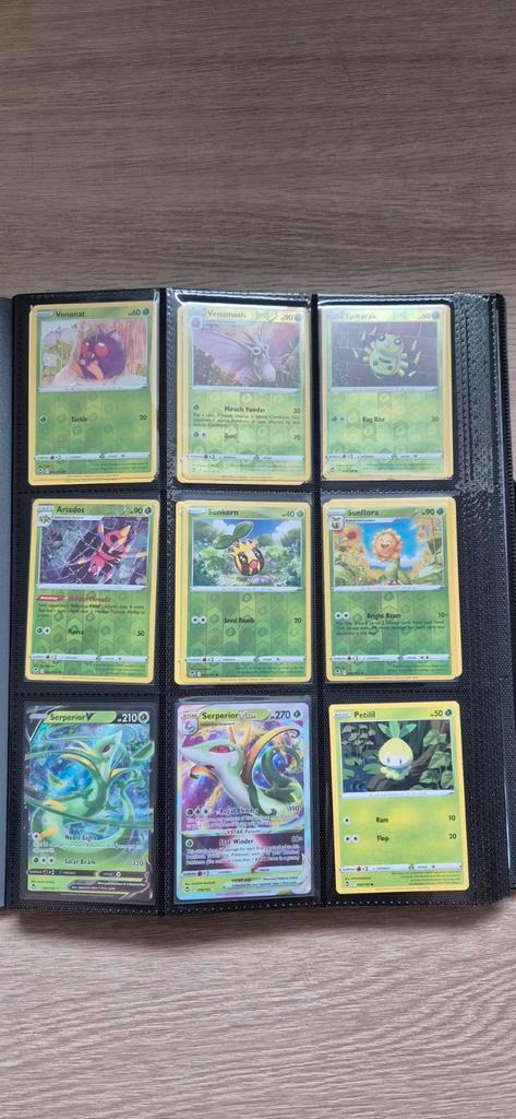 Pokémon Silver Tempest Verzameling - Bijna Compleet +binder, Hobby en Vrije tijd, Verzamelkaartspellen | Pokémon, Zo goed als nieuw