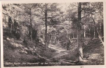 holten ravijn ''niemendal'' holterberg 1958 beschikbaar voor biedingen