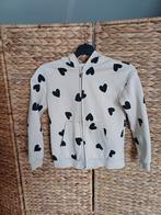 Vest met capuchon maat 134-140, Ophalen of Verzenden, Zo goed als nieuw, Jongen, Trui of Vest