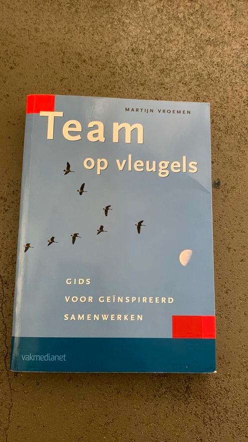 M. Vroemen - Team op vleugels, Boeken, Studieboeken en Cursussen, Zo goed als nieuw, HBO, Alpha, Ophalen of Verzenden