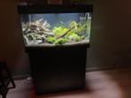 Juwel Rio 125 zwart met onderkast, Dieren en Toebehoren, Vissen | Aquaria en Toebehoren, Ophalen, Zo goed als nieuw, Leeg aquarium