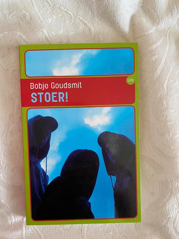 Bobje Goudsmit - Stoer!, Boeken, Kinderboeken | Jeugd | 13 jaar en ouder, Zo goed als nieuw, Ophalen of Verzenden