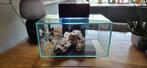 Fluval Edge 2.0  23l, Ophalen, Gebruikt, Leeg aquarium