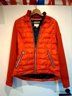 HV Polo/Society fel rode gewatteerde jas dames maat M, Dieren en Toebehoren, Paardrijkleding, Dressuur, Ophalen of Verzenden, Zo goed als nieuw