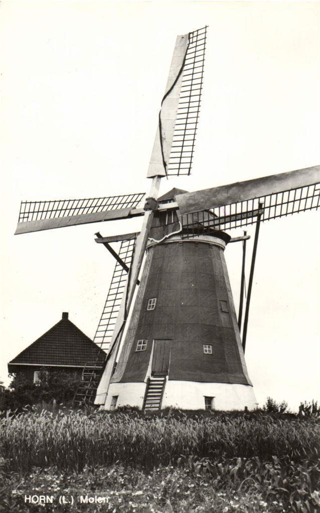 Horn [L.] Molen - ongelopen, Verzamelen, Ansichtkaarten | Nederland, Ongelopen, Noord-Brabant, Voor 1920, Ophalen of Verzenden