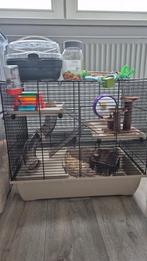 Hamster met hok en toebehoren, Dieren en Toebehoren, Minder dan 75 cm, Ophalen, Minder dan 60 cm, Hok