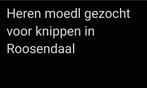 Heren modellen gezocht in Roosendaal kosten zijn gratis!!, Ophalen of Verzenden
