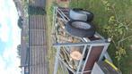 Juglans regia / noten hout boomstam en takken, Tuin en Terras, Haardhout, Minder dan 3 m³, Ophalen, Overige houtsoorten, Blokken