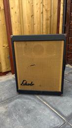 Echolette gitaarversterker, Muziek en Instrumenten, Ophalen of Verzenden, Gebruikt, Gitaar, 50 tot 100 watt