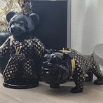 Nieuw beer xxl buldog xxl lv, Ophalen of Verzenden, Nieuw, Dier