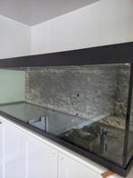 600+ Ltr aquarium +jbl ph touch +2x jbl cristal profie 1902, Ophalen, Zo goed als nieuw, Gevuld zoetwateraquarium