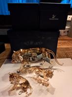Swarovski Tijger Set met Welpen in Dozen, Ophalen of Verzenden, Zo goed als nieuw, Figuurtje