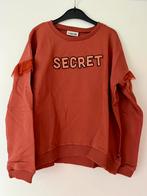 CarlijnQ trui maat 146/152, Meisje, Trui of Vest, Nieuw, Ophalen of Verzenden