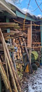 Gekoofd en ongekloofd droog brandhout, ongeveer 100m3, 6 m³ of meer, Ophalen, Overige houtsoorten, Stammen