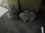 konijnen beeld beton, Verzamelen, Beelden en Beeldjes, Ophalen of Verzenden, Nieuw, Dier