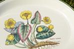 Florabunda Wedgwood Botanica servies botanisch vintage, Wedgwood, Ophalen of Verzenden