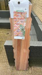 Wand klimop plant, Tuin en Terras, Nieuw, Ophalen of Verzenden