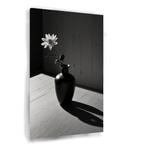 Een stilleven met bloem en schaduwen canvas 60x90cm - 18mm., Huis en Inrichting, Woonaccessoires | Schilderijen, Tekeningen en Foto's