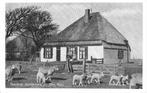 Boerderij Schildersweg bij Den Burg  Texel, Ophalen of Verzenden, 1940 tot 1960, Gelopen, Waddeneilanden