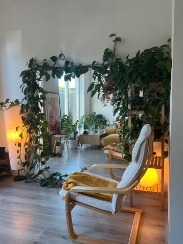 Grote spiegel beschikbaar voor biedingen