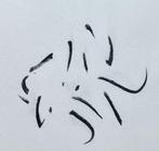 Zeefdruk Wil Blommerde, Antiek en Kunst, Kunst | Litho's en Zeefdrukken, Verzenden