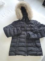 Tommy Hillfiger winterjas zwart maat L, Kleding | Dames, Maat 42/44 (L), Ophalen of Verzenden, Zo goed als nieuw, Zwart