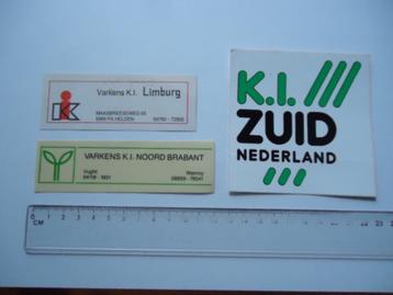 sticker oud Vught Varkens KI Helden Limburg wanroy brabant beschikbaar voor biedingen